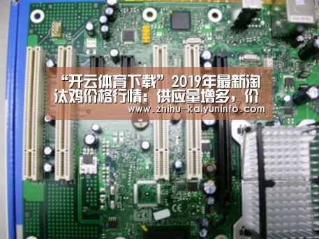 “开云体育下载”2019年最新淘汰鸡价格行情:供应量增多,价格呈弱势稳定!(图1) 开云体育下载