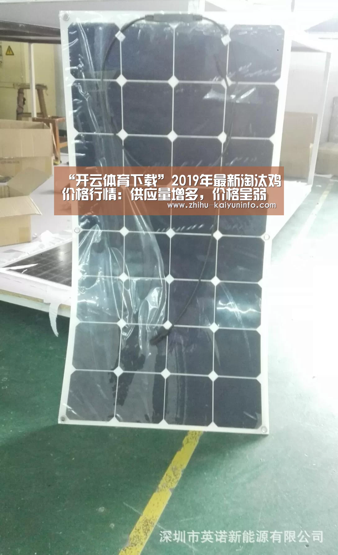 “开云体育下载”2019年最新淘汰鸡价格行情:供应量增多,价格呈弱势稳定!(图3) 开云体育下载