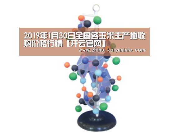 2019年1月30日全国各玉米主产地收购价格行情【开云官网】(图1) 开云