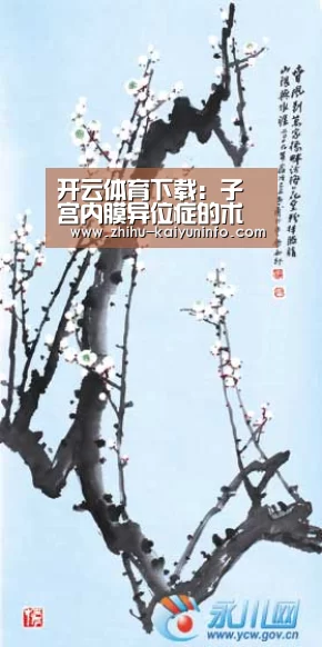 开云体育下载:子宫内膜异位症的术后保健(图1) 开云