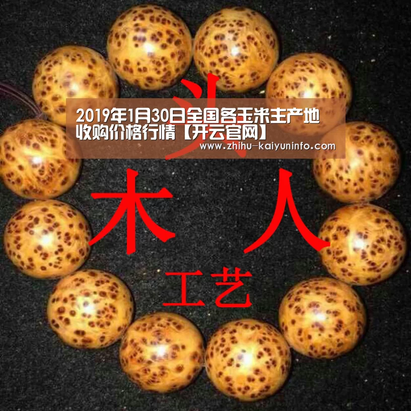 2019年1月30日全国各玉米主产地收购价格行情【开云官网】(图2) 开云体育下载