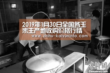 2019年1月30日全国各玉米主产地收购价格行情【开云官网】(图3) 开云